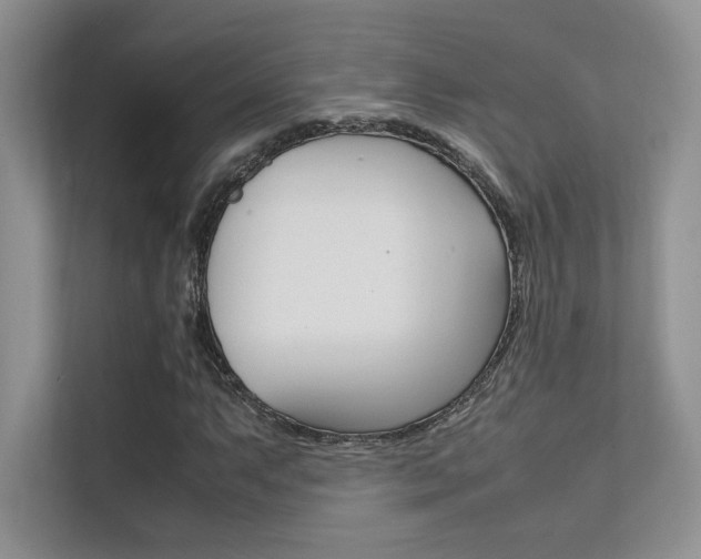 X0000112401063200908141001