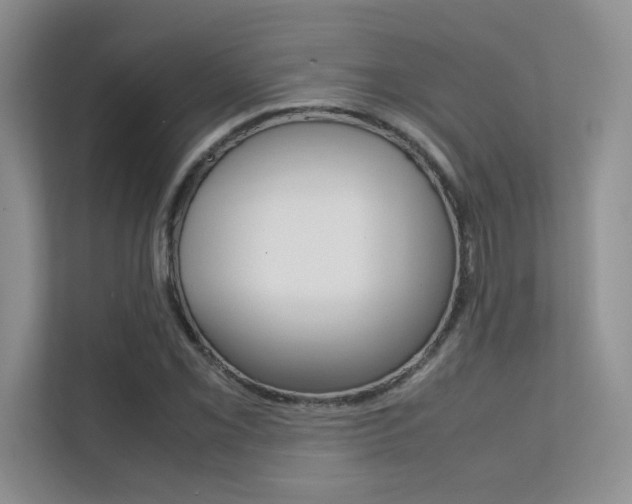 X0000112401069200908141000