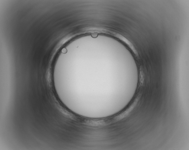 X0000112401074200908141000