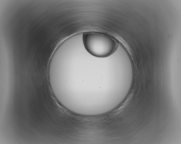 X0000112401089200908141000