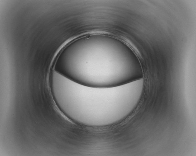 X0000112401092200908141000