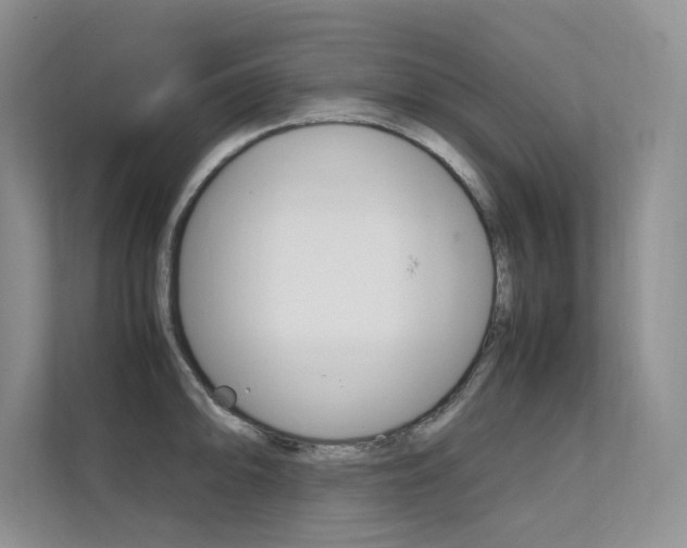 X0000112401094200908141000