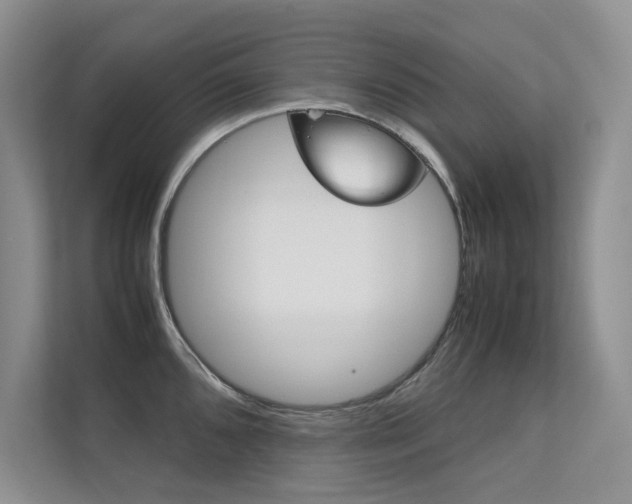 X0000112401096200908141000
