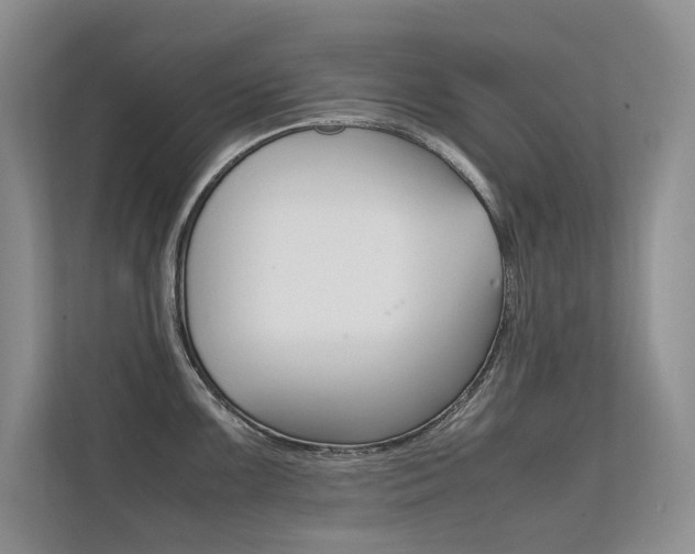 X0000112401099200908141000