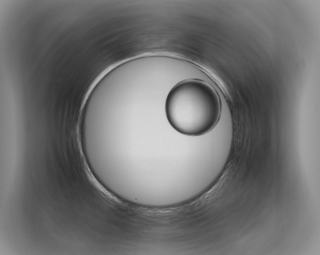 X0000112401100200908141000