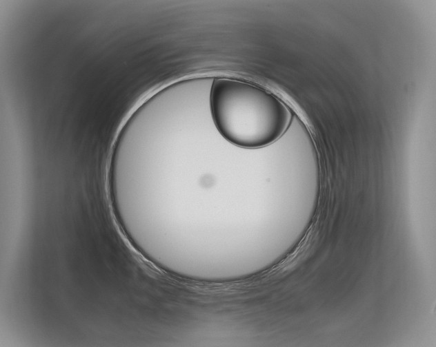 X0000112401101200908141000
