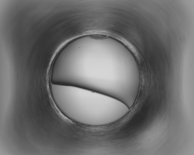 X0000112401102200908141000