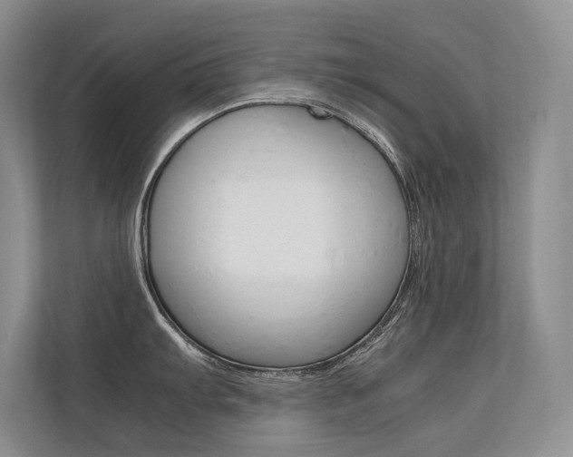 X0000112401103200908141000
