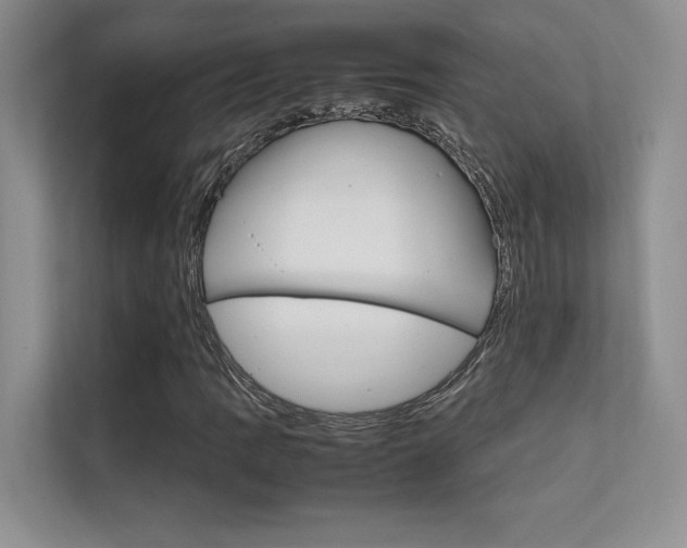 X0000112401109200908140959
