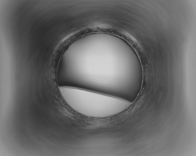 X0000112401112200908140959