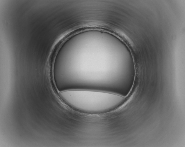 X0000112401114200908140959