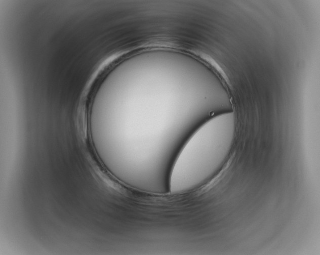 X0000112401123200908140959