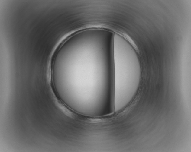 X0000112401132200908140959