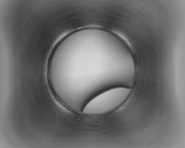 X0000112401135200908140959