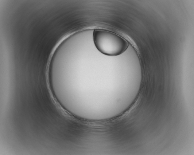 X0000112401138200908140959