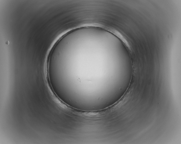X0000112401140200908140959