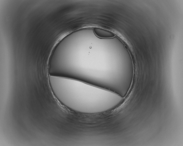 X0000112401145200908140959