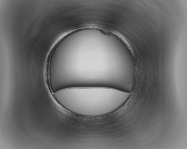 X0000112401147200908140959