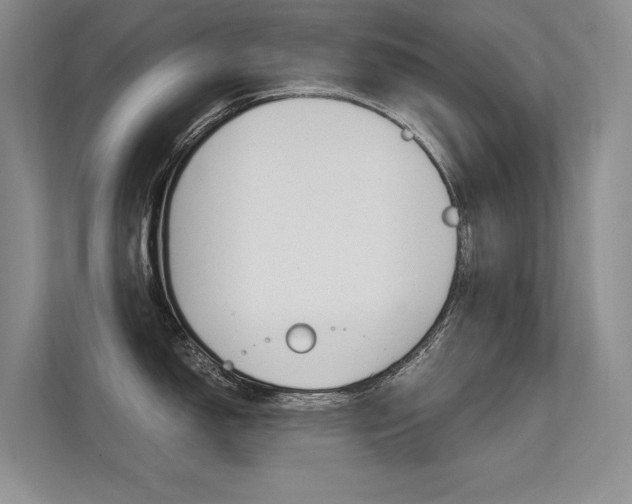 X0000112401150200908141000