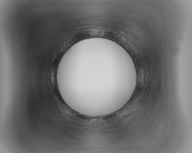 X0000112401154200908140959