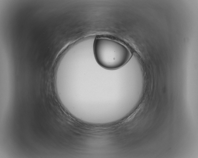 X0000112401165200908140959