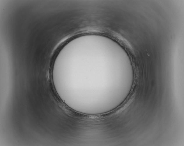 X0000112401166200908140959