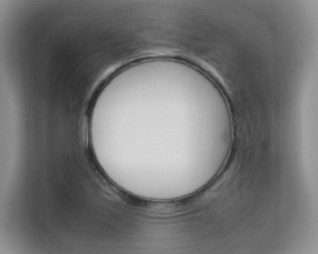 X0000112401171200908140959
