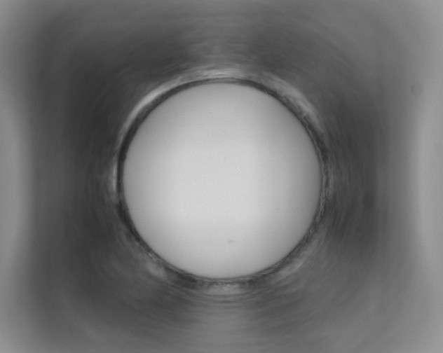 X0000112401174200908140959