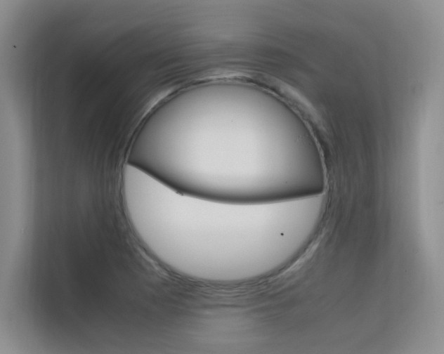 X0000112401177200908140959