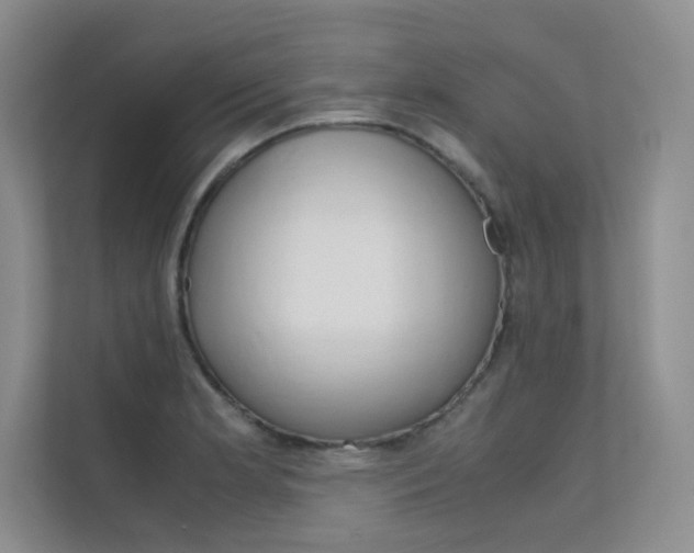 X0000112401181200908140959