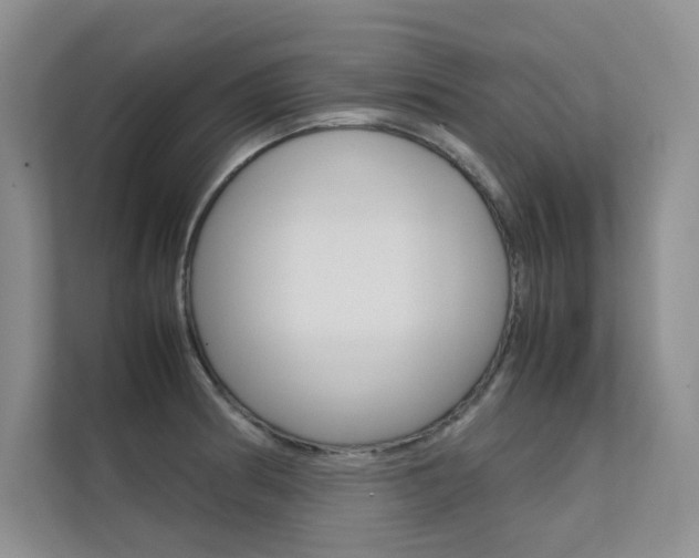 X0000112401186200908140958