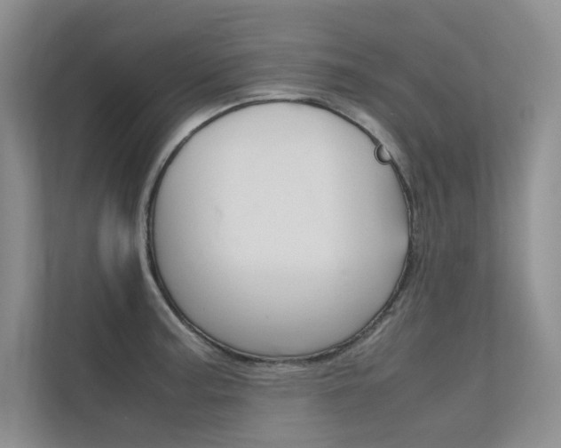 X0000112401187200908140958