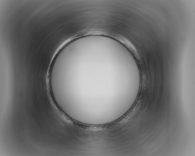 X0000112401190200908140958
