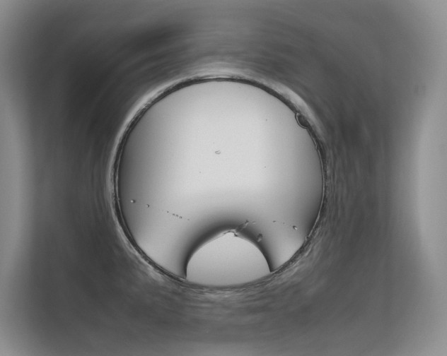X0000112401191200908140958