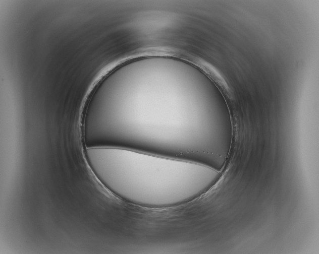 X0000112401192200908140958