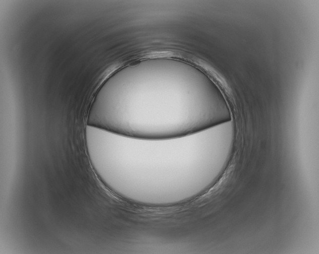 X0000112401193200908140958