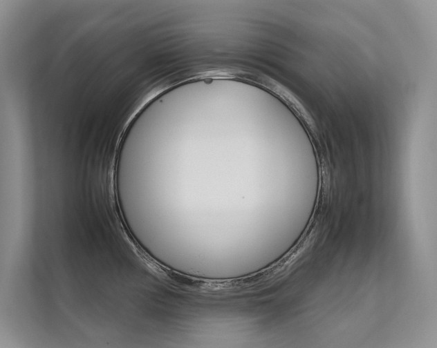 X0000112401194200908140958