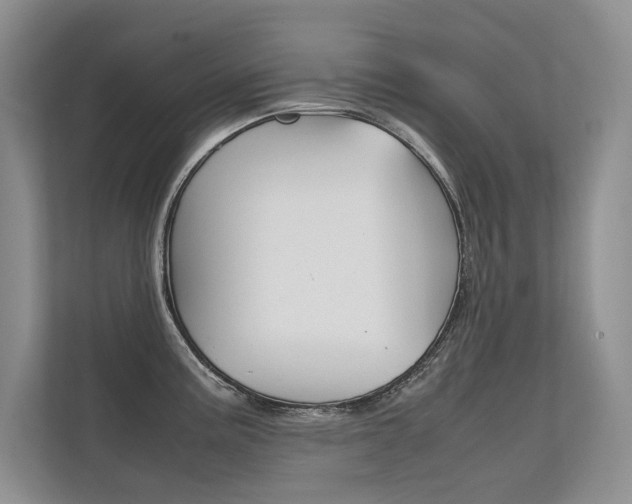 X0000112401195200908140958