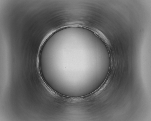 X0000112401196200908140958