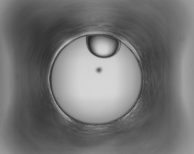 X0000112401197200908140958