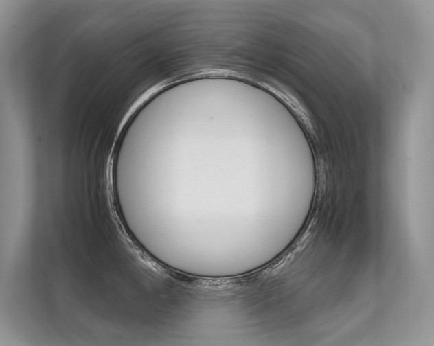 X0000112401198200908140958