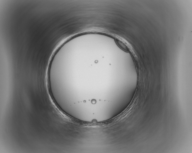 X0000112401199200908140958