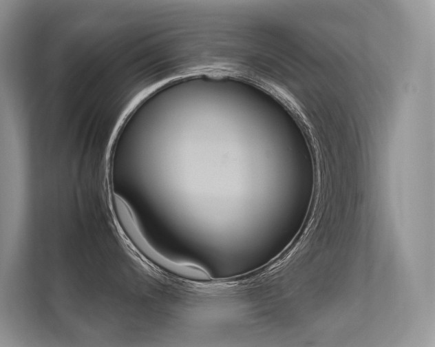 X0000112401200200908140958