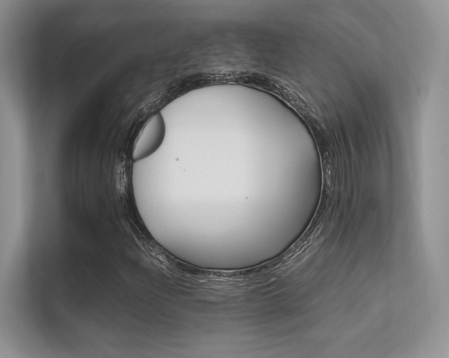X0000112401204200908140958