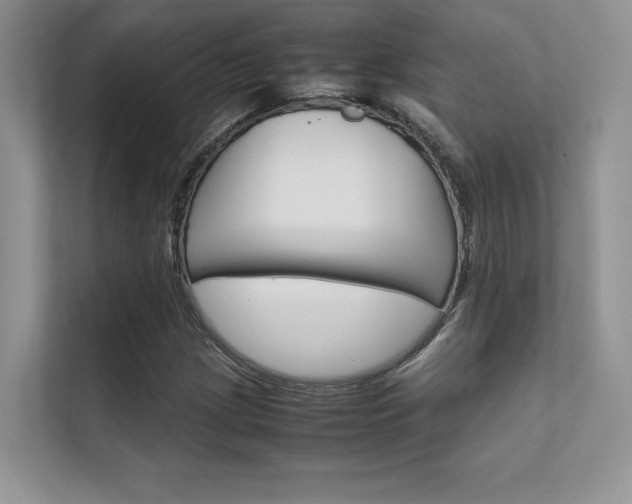 X0000112401209200908140958