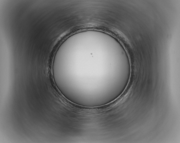X0000112401210200908140958