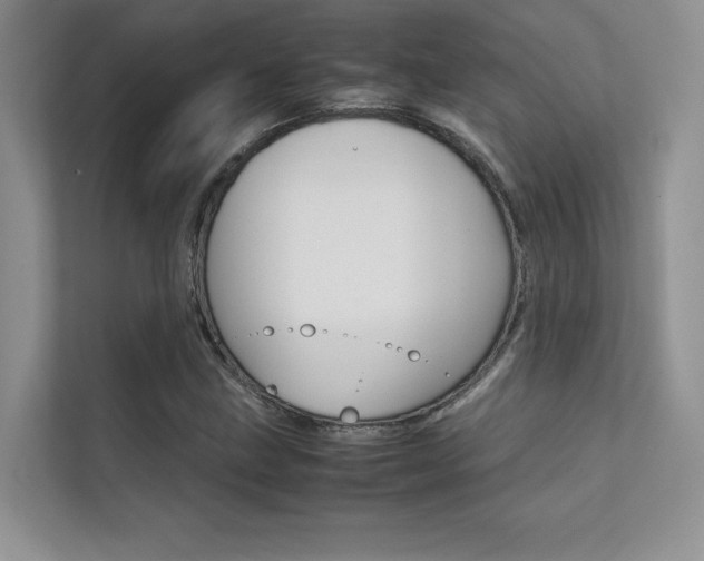 X0000112401211200908140958