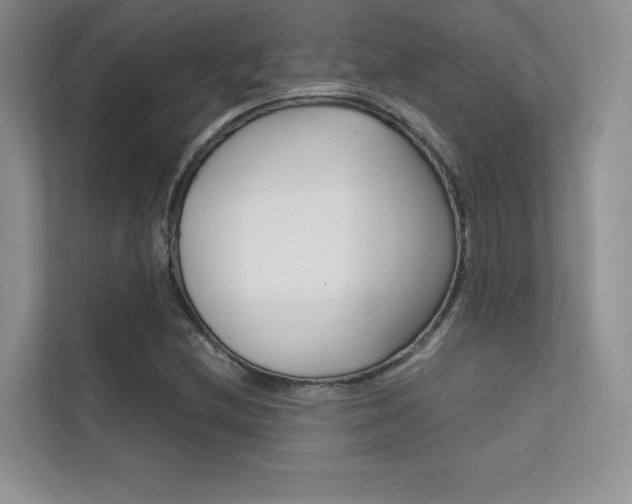 X0000112401212200908140958