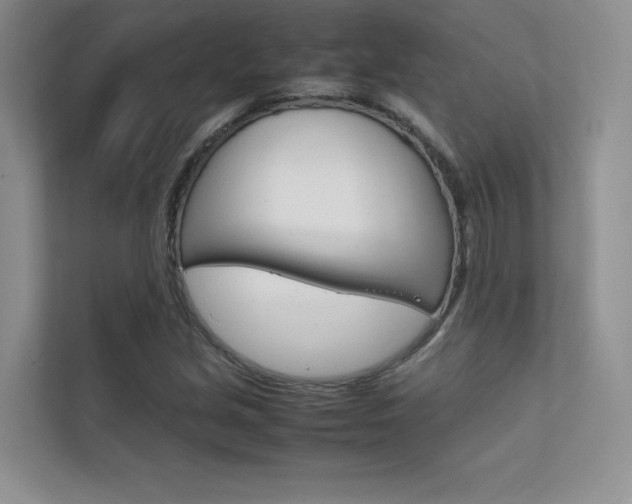 X0000112401213200908140958