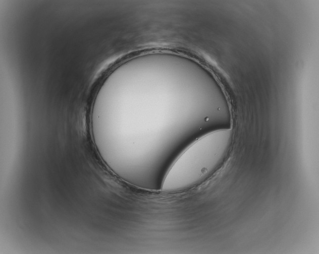 X0000112401214200908140958
